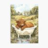 mp840x830mattef8f8f8t pad1000x1000f8f8f8 9 - Highland Cow Gifts UK